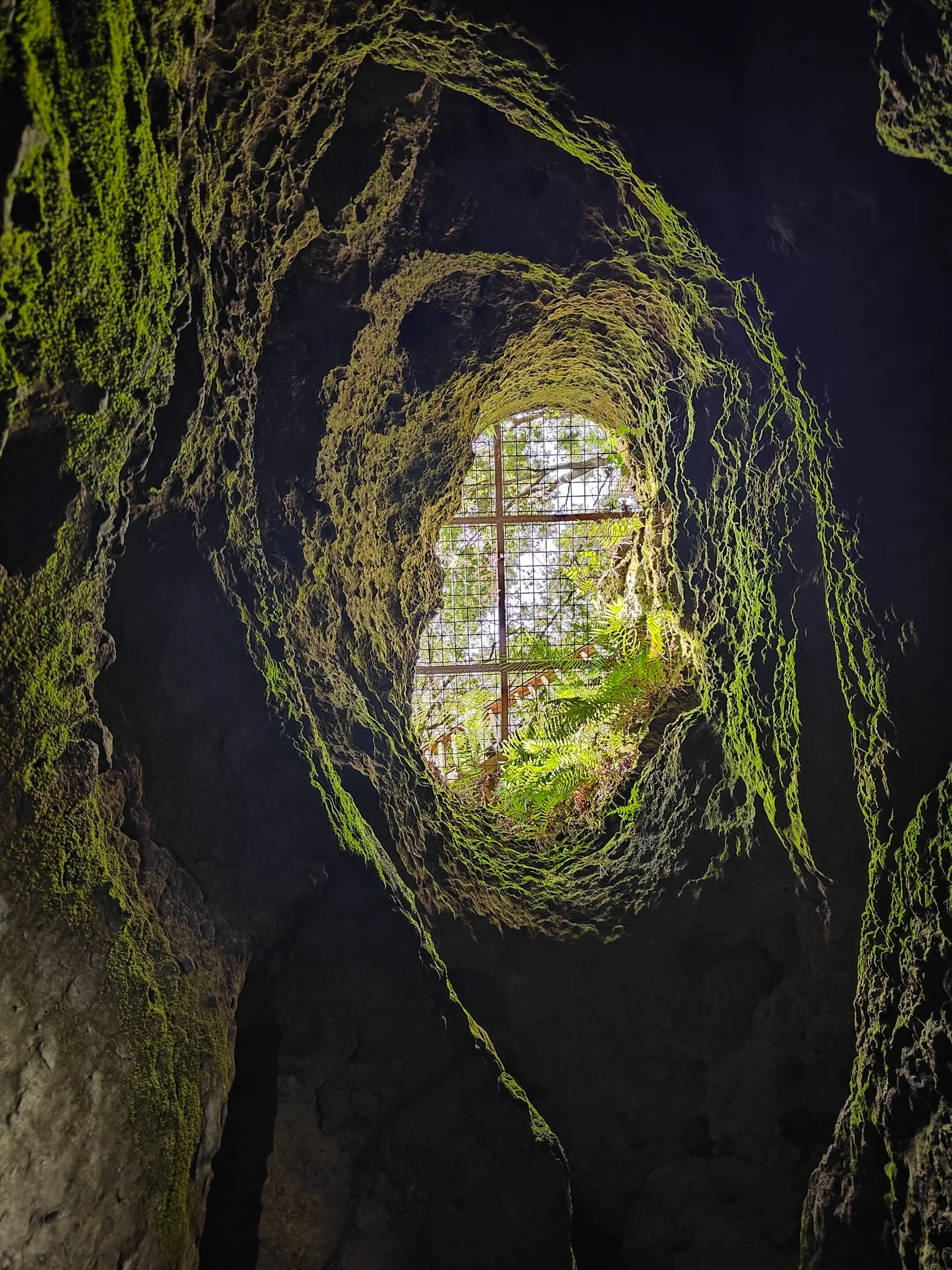 Looking up from inside the cave