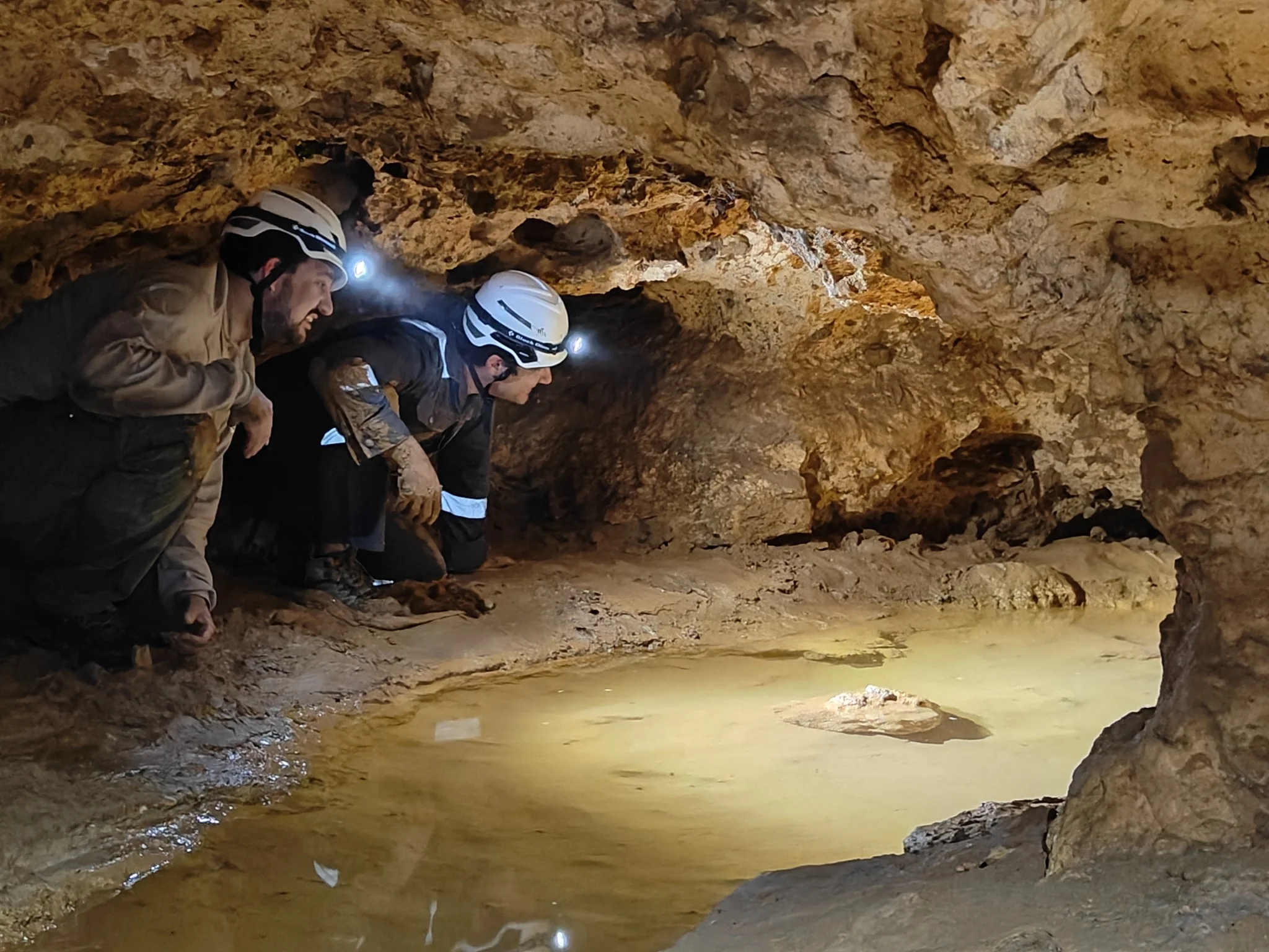 Team looking into the cave entrance